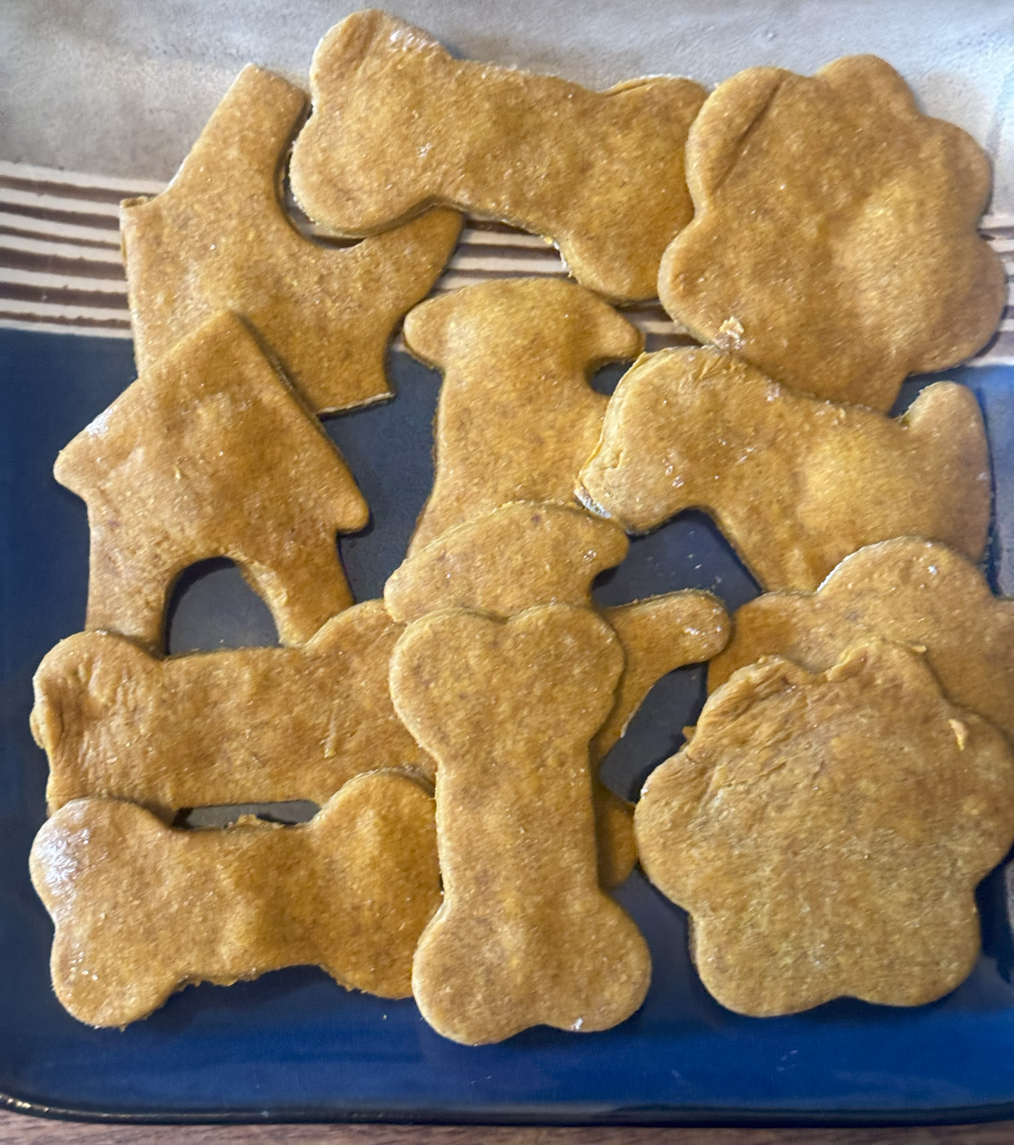 Peanut Butter Pumpkin Dog Treat